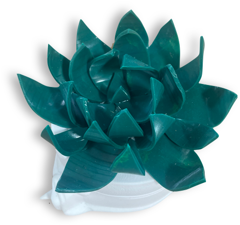 Limited Edition: Recycled Vinyl Succulent
